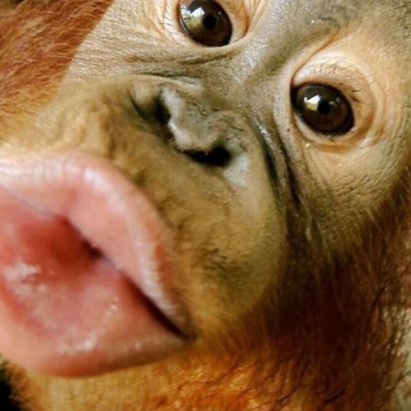 Meet your Posher, Micah - Picture 1 of 1